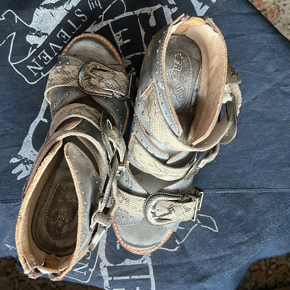 FREEBIRD by Steven Violet - Picture 7 of 7